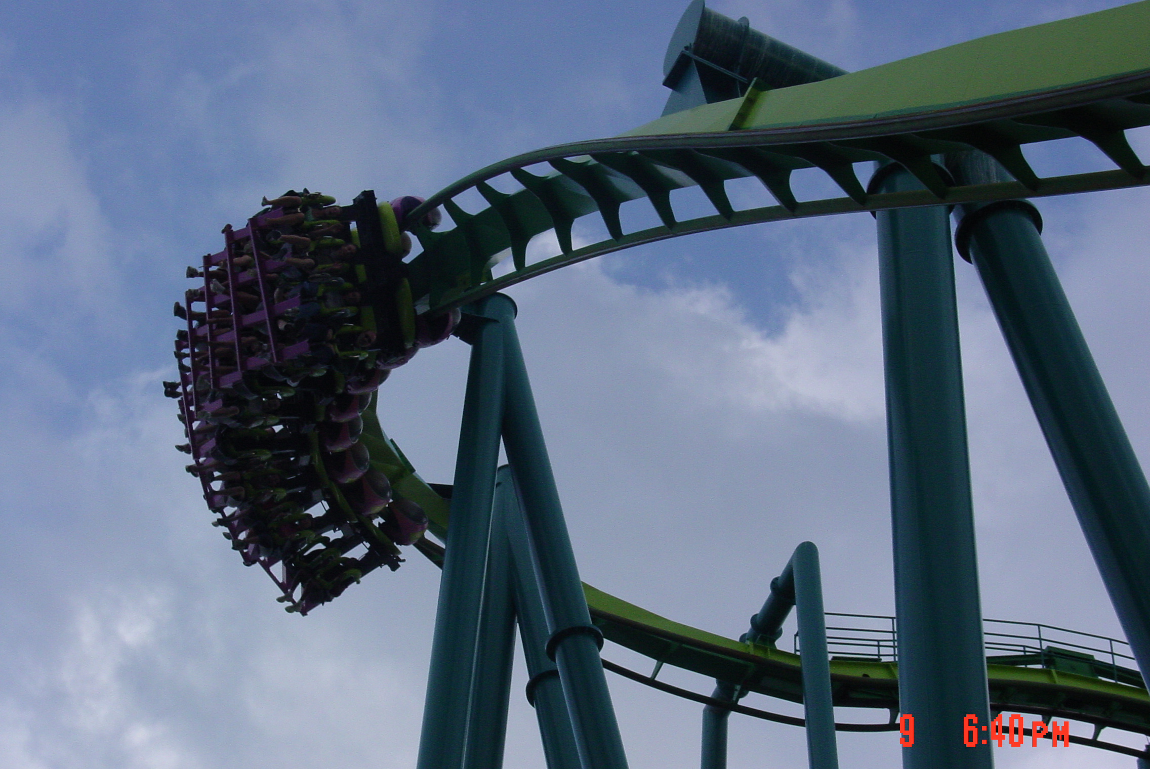 Raptor – zdjęcie 5