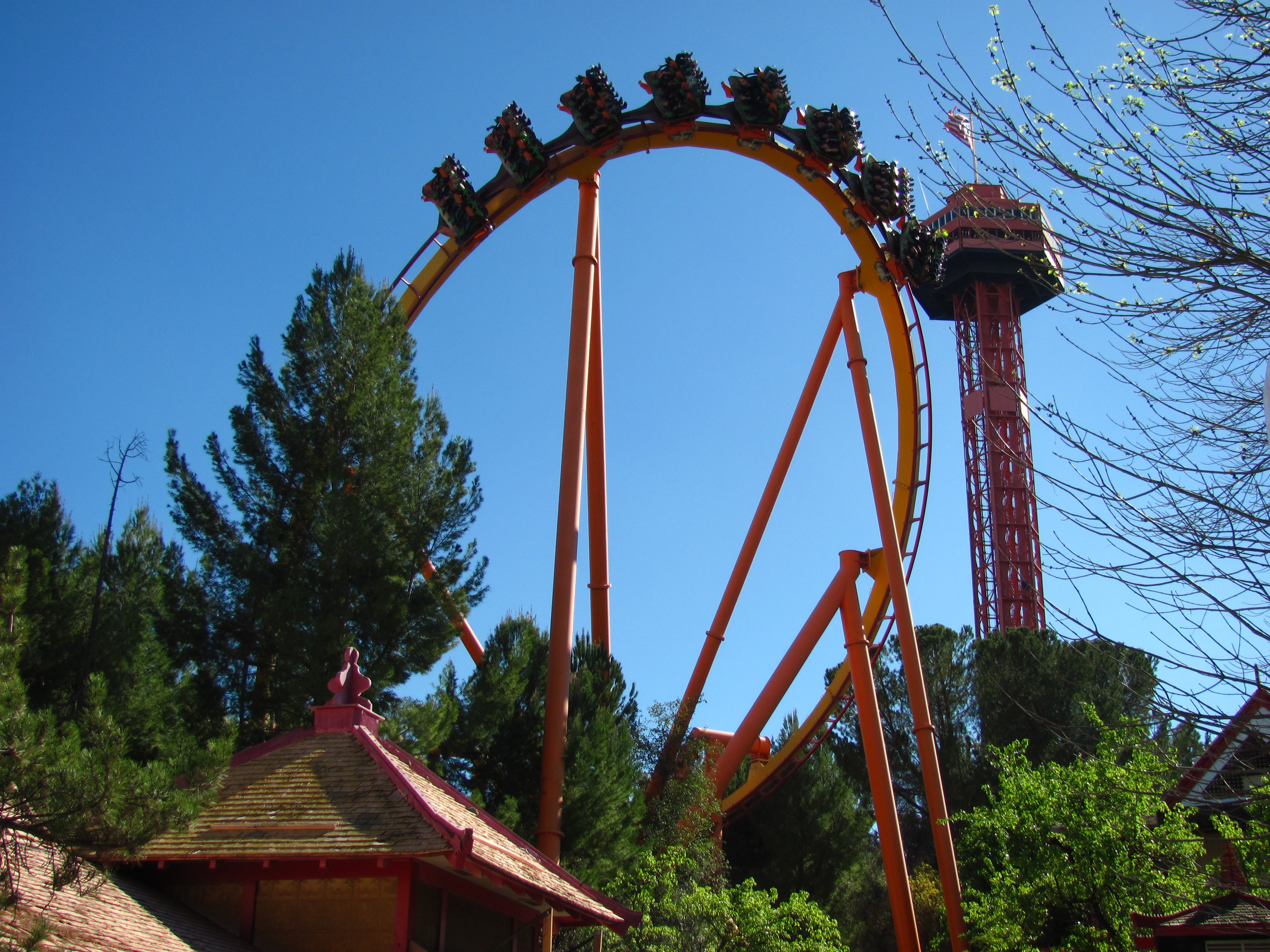 Tatsu – zdjęcie 4