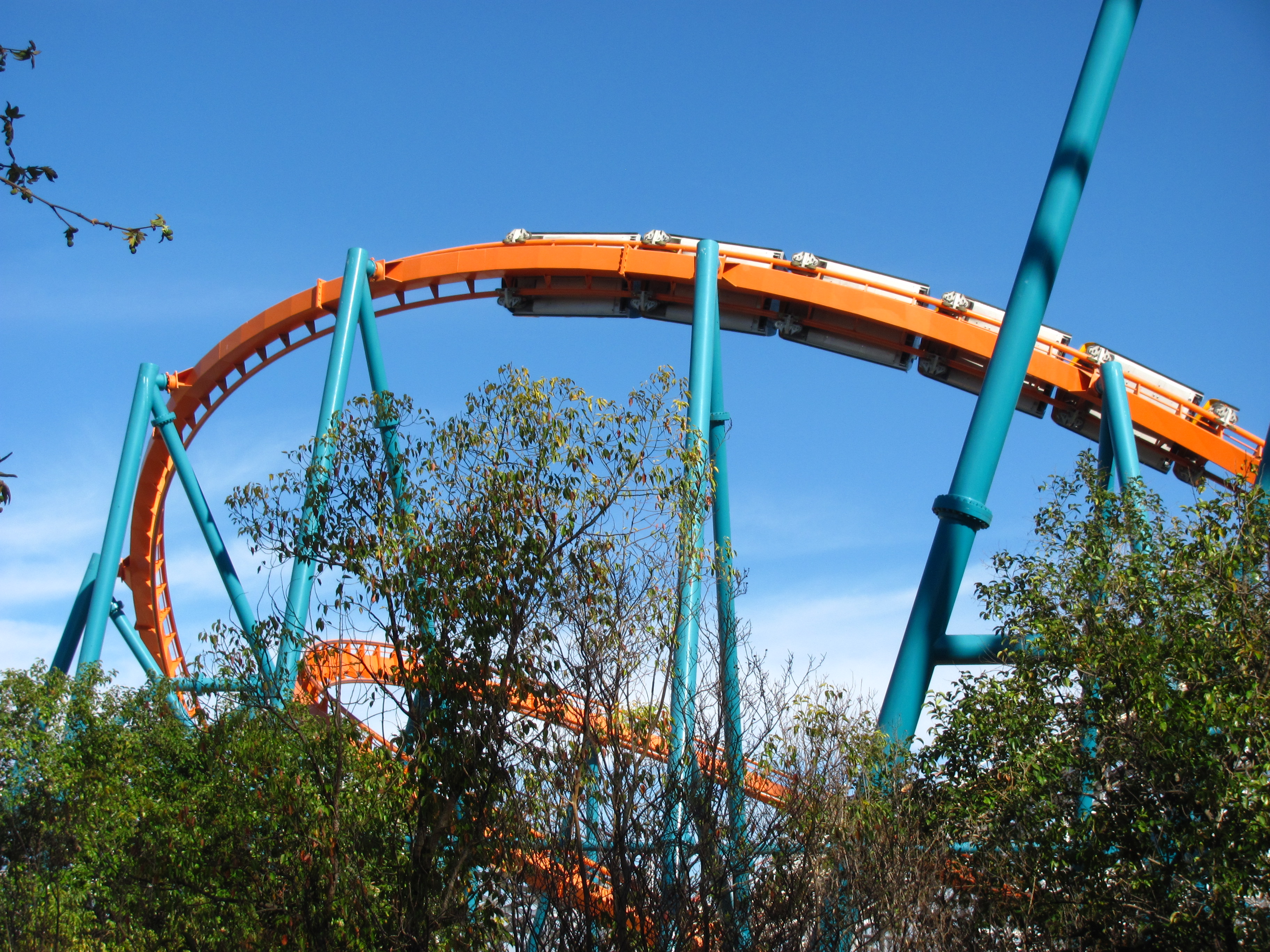 Goliath – fotka 2