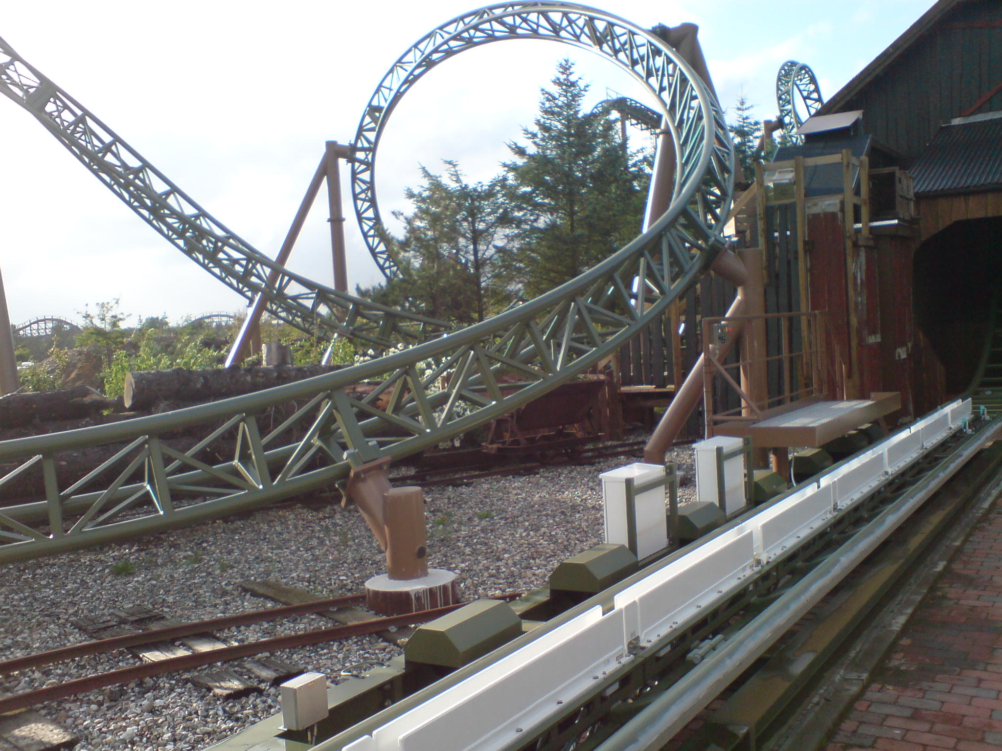 Lynet – zdjęcie 3
