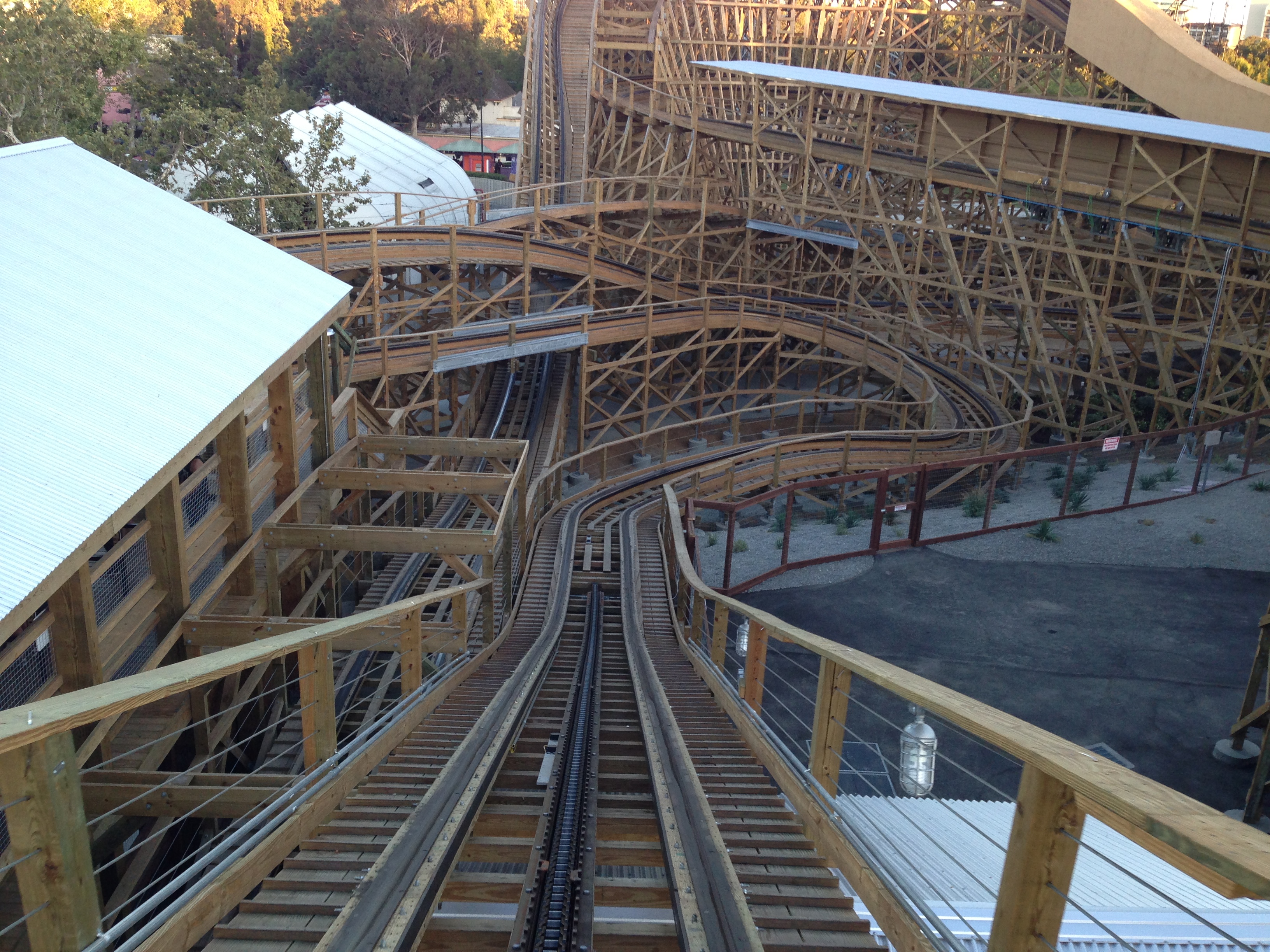 Gold Striker – zdjęcie 4