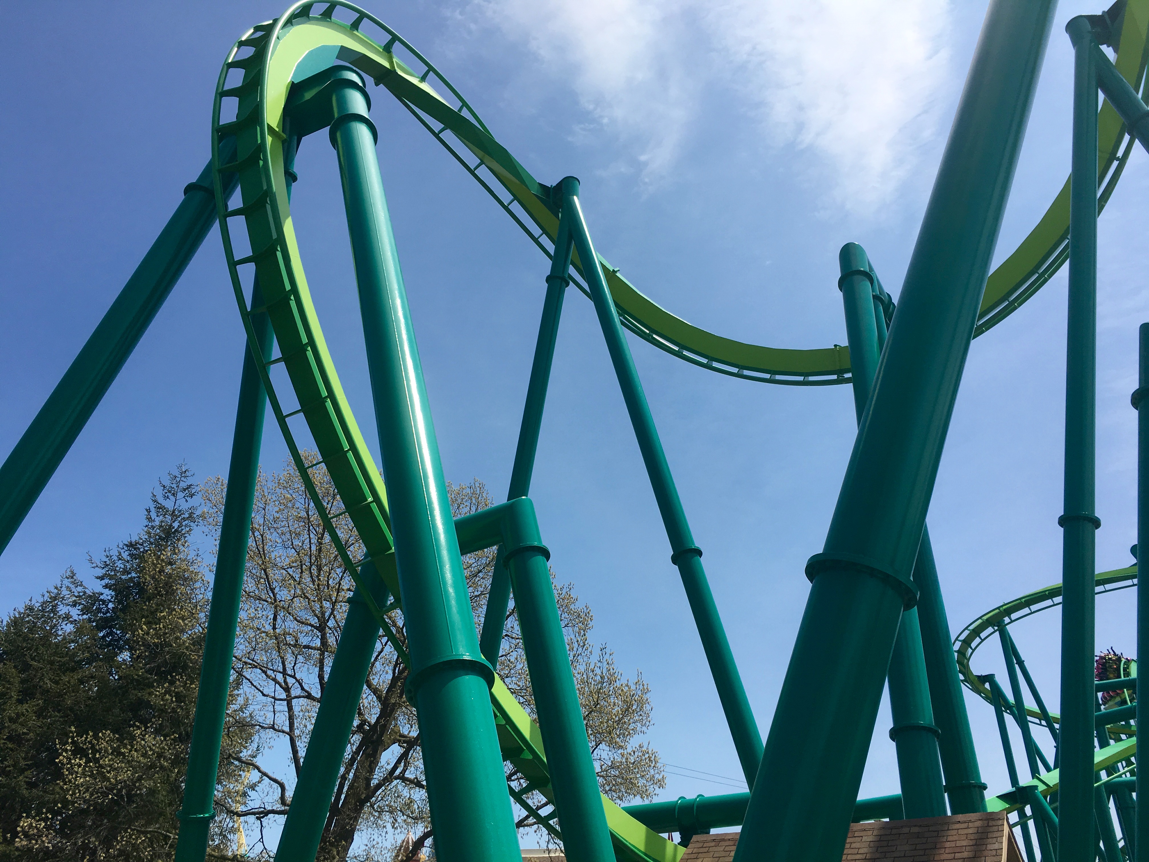 Raptor – zdjęcie 6