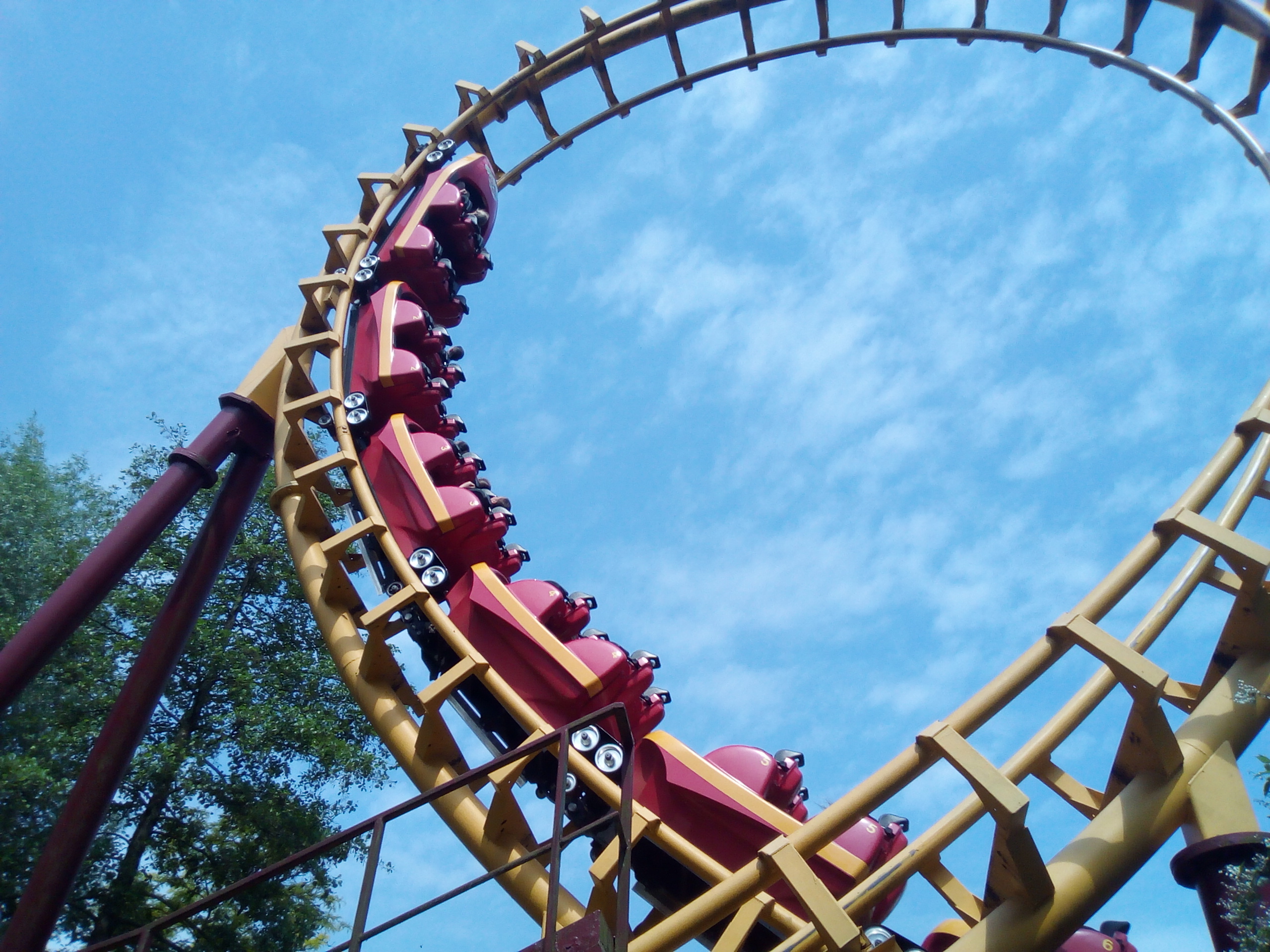 Boomerang – zdjęcie 2