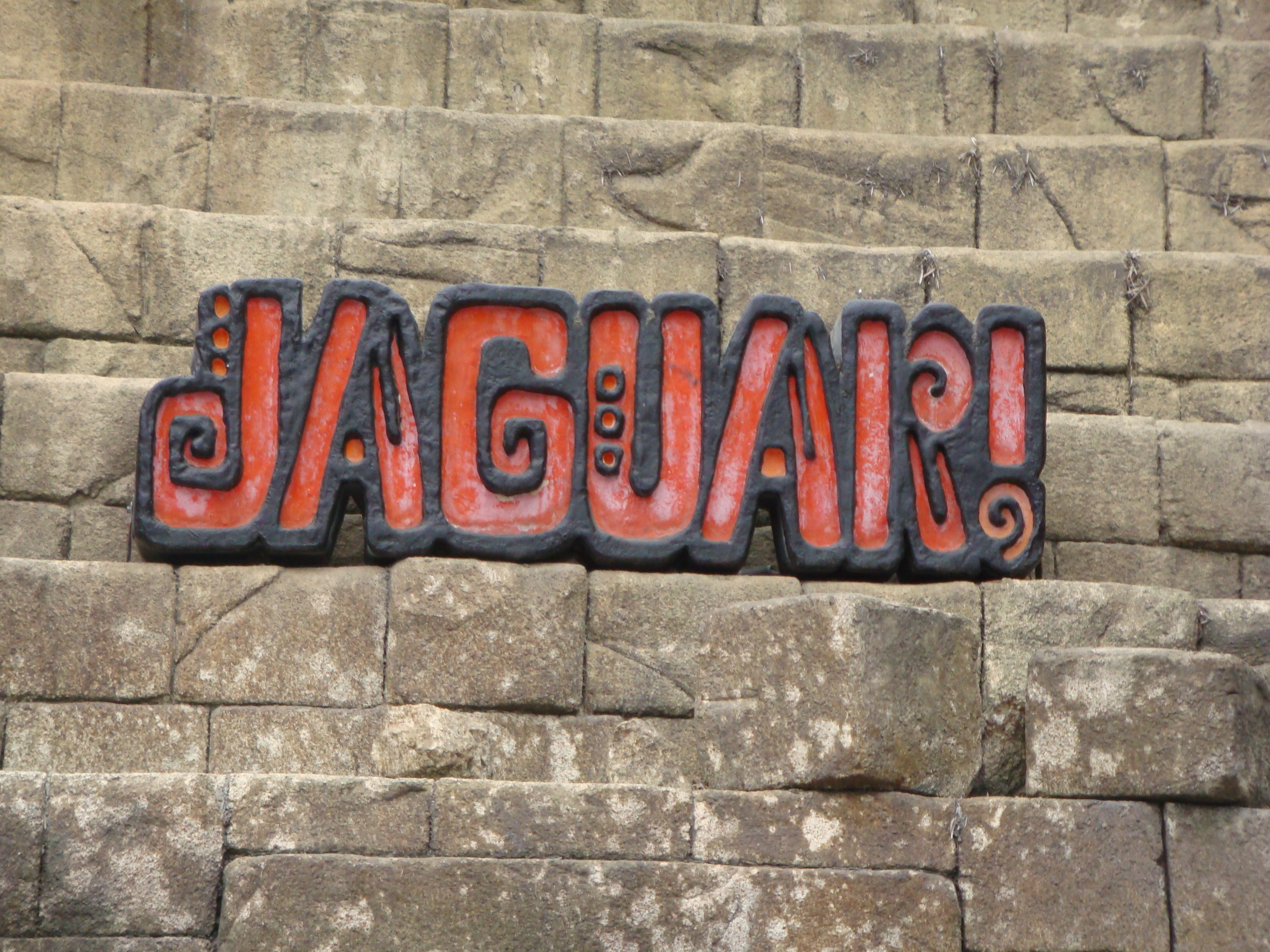 Jaguar! – zdjęcie 6